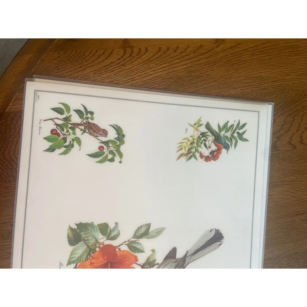 Vintage Roger Tory Peterson Songbird Placemats Set of 6 Nature Bird Art Decor